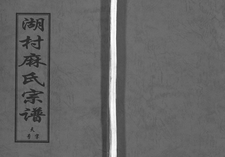 2000年重修湖村麻氏宗谱[4卷]浙江东阳麻姓电子版族谱下载