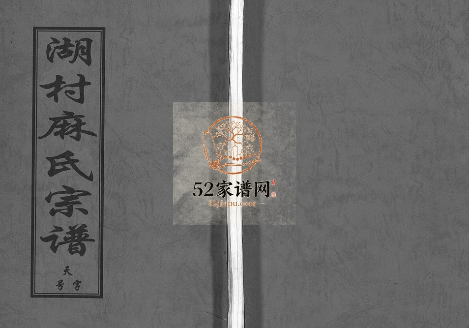 2000年重修湖村麻氏宗谱[4卷]浙江东阳麻姓电子版族谱下载