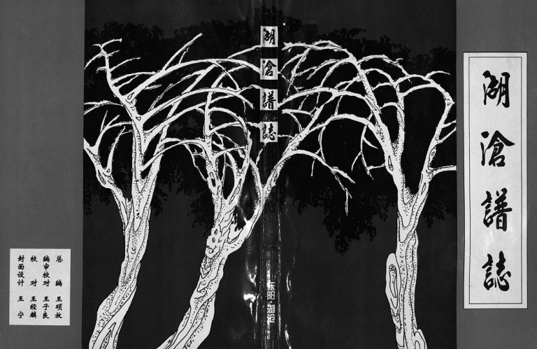 1997年重修湖沧(王氏)谱志[4卷]浙江东阳王姓电子版族谱下载