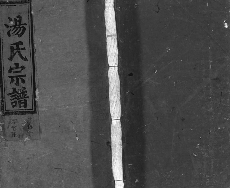 1924年重修汤氏宗谱[3卷]浙江温州汤姓电子版族谱下载