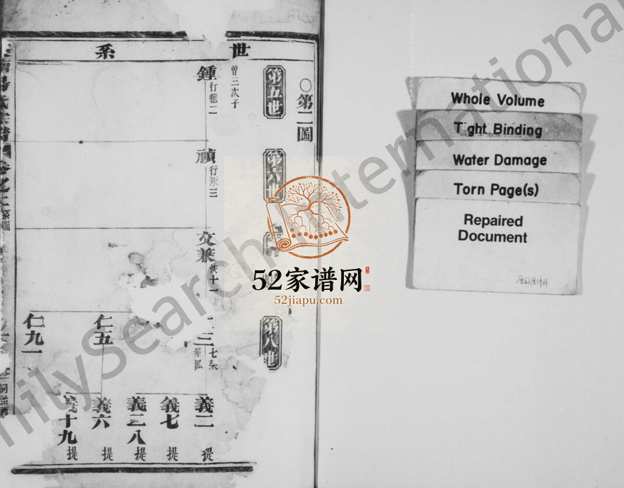 1866年修溪南汤氏宗谱[残卷]浙江武义汤姓电子版族谱下载