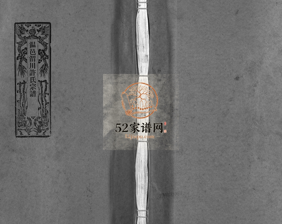 1998年九修温邑渭川许氏宗谱[2卷]浙江温岭许姓电子版族谱下载