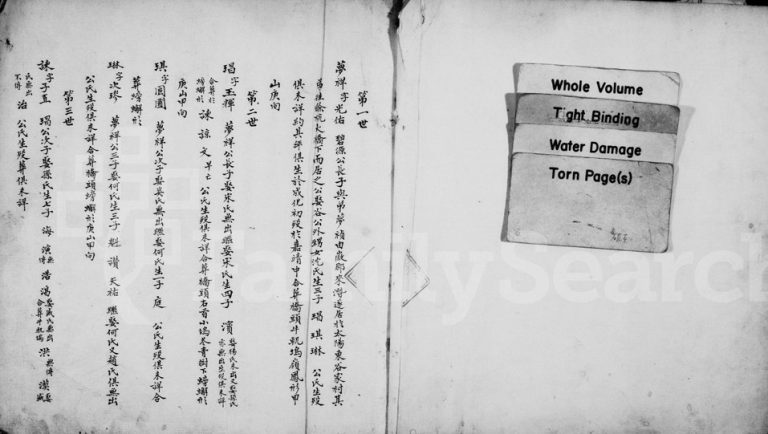 1879年修潜阳大地程氏宗谱 浙江临安程姓电子版族谱下载