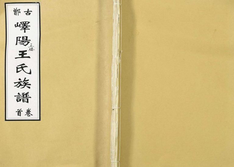 2017年修古鄫峄阳王楼王氏族谱 山东峄城三槐堂王姓电子版家谱下载