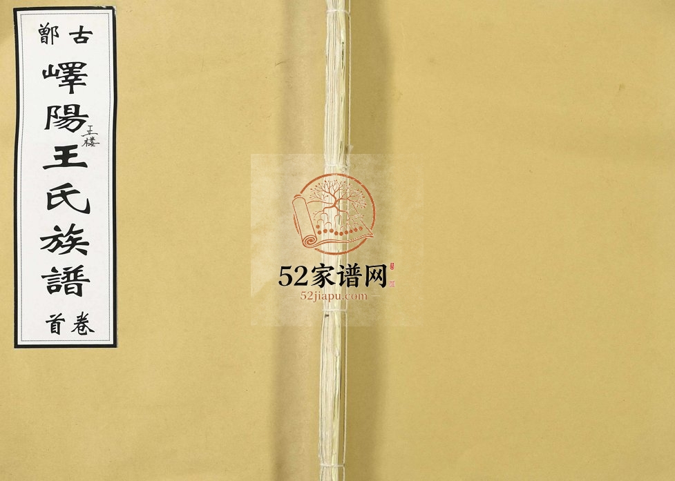 2017年修古鄫峄阳王楼王氏族谱 山东峄城三槐堂王姓电子版家谱下载