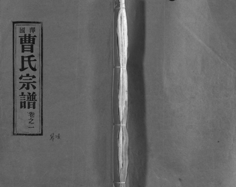 1995年修泽国曹氏宗谱[14卷]浙江台州曹姓电子版族谱下载
