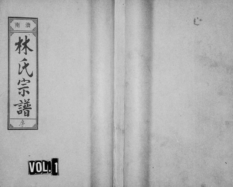 1995年重修济南郡林氏宗谱[11卷]浙江缙云林姓电子版族谱下载