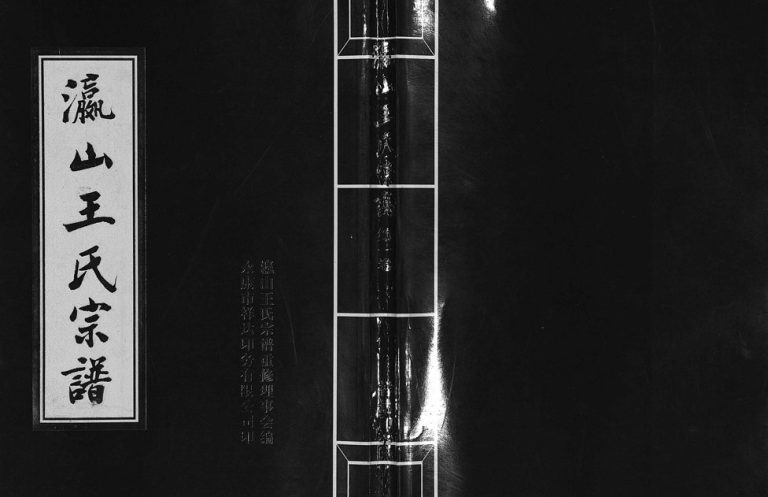 2002年重修瀛山王氏宗谱[4卷]浙江金华 东阳 浦江 兰溪 缙云王姓电子版族谱下载