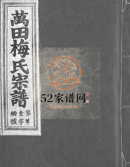 1996年修瀫西万田梅氏宗谱[8卷]浙江兰溪敦睦堂梅姓电子版族谱下载