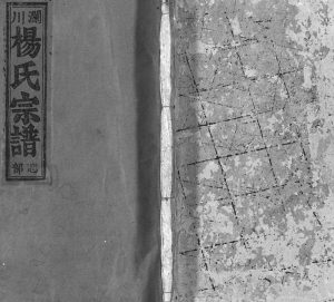 1947年续修澜川杨氏宗谱[4卷]浙江缙云杨姓电子版族谱下载