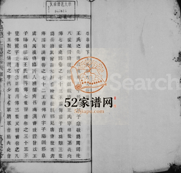 1936年八修牛皋岭下王氏宗谱 浙江诸暨王姓电子版族谱下载