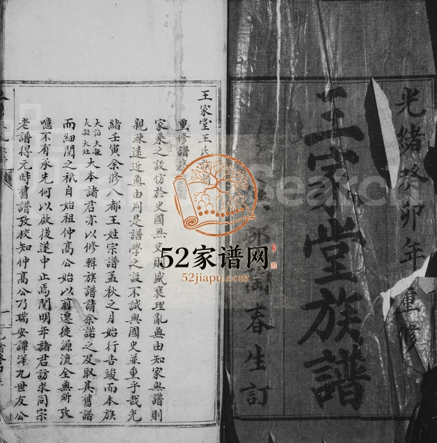 1903年修泰顺玉溪王家堂族谱 浙江王姓电子版家谱下载