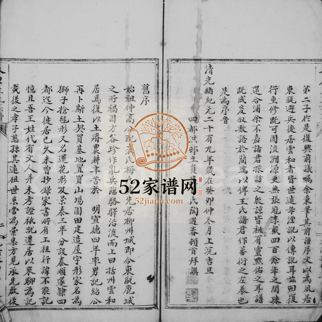 1903年修泰顺玉溪王家堂族谱 浙江王姓电子版家谱下载