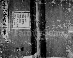 1920年修王氏安右家乘[7卷]浙江永康王姓电子版族谱下载