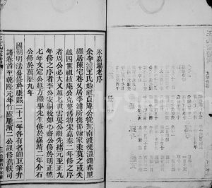 1906年重修王氏宗谱 浙江永嘉王姓电子版族谱下载