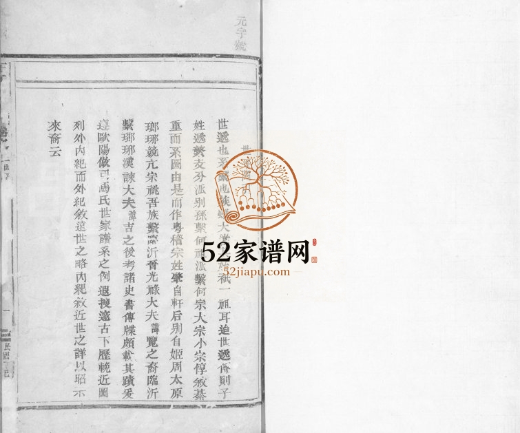 1917年修鹤岩王氏家乘[24卷]浙江东阳王姓电子版族谱下载