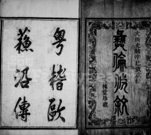 1881年修蛟川王氏宗谱[3卷首1卷]浙江鄞县三槐堂王姓电子版族谱下载