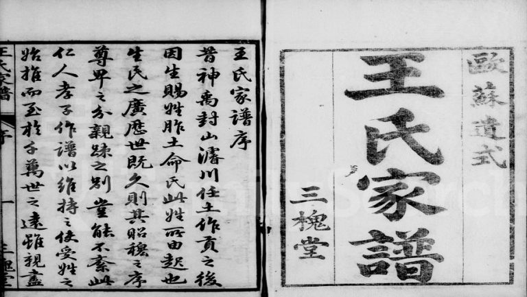 1847年十一修王氏家谱[4卷首1卷]浙江萧山 江苏三槐堂王姓电子版族谱下载