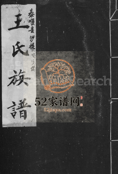 1889年修罗阳沙堤王氏家谱[10卷首1卷]浙江泰顺王姓电子版族谱下载