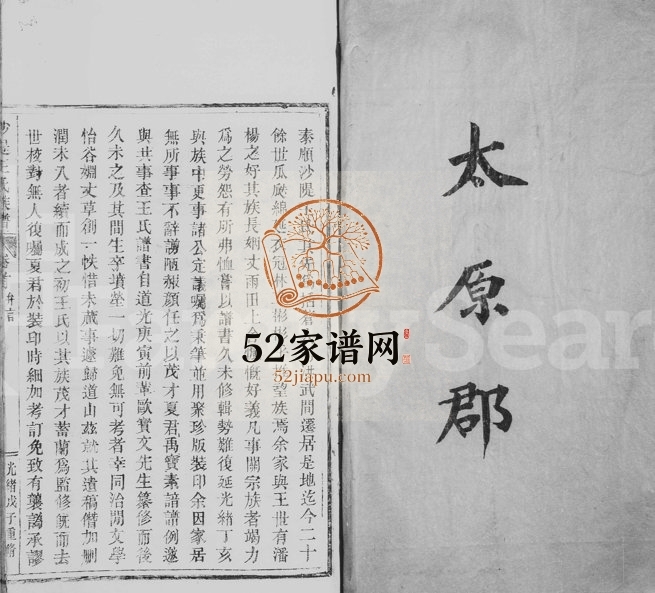1889年修罗阳沙堤王氏家谱[10卷首1卷]浙江泰顺王姓电子版族谱下载