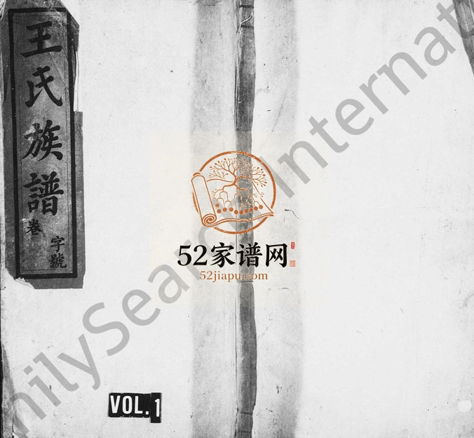 清光绪潜阳太原王氏族谱[26卷及卷末]安徽潜山 浙江临安敦睦堂王姓电子版家谱下载