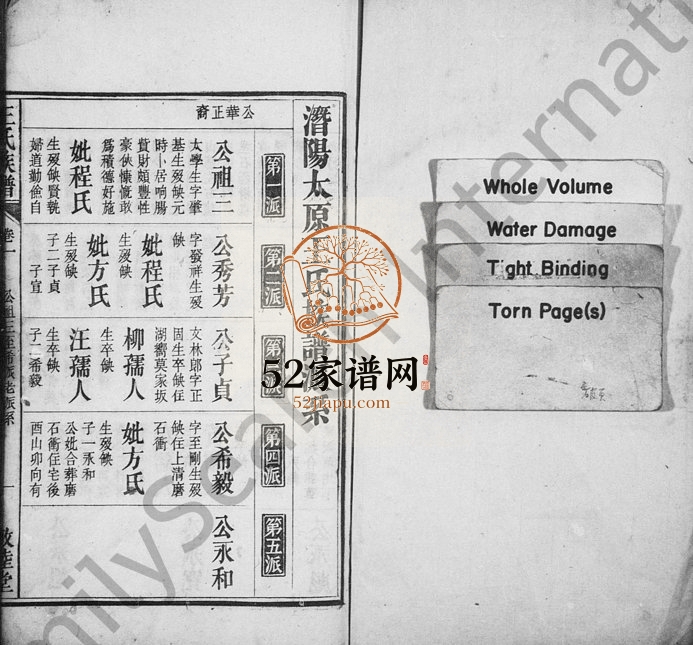 清光绪潜阳太原王氏族谱[26卷及卷末]安徽潜山 浙江临安敦睦堂王姓电子版家谱下载
