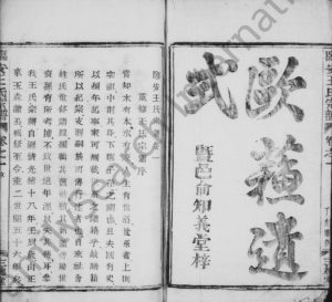 1947年修王氏族谱[2卷]浙江临安三槐堂王姓电子版家谱下载