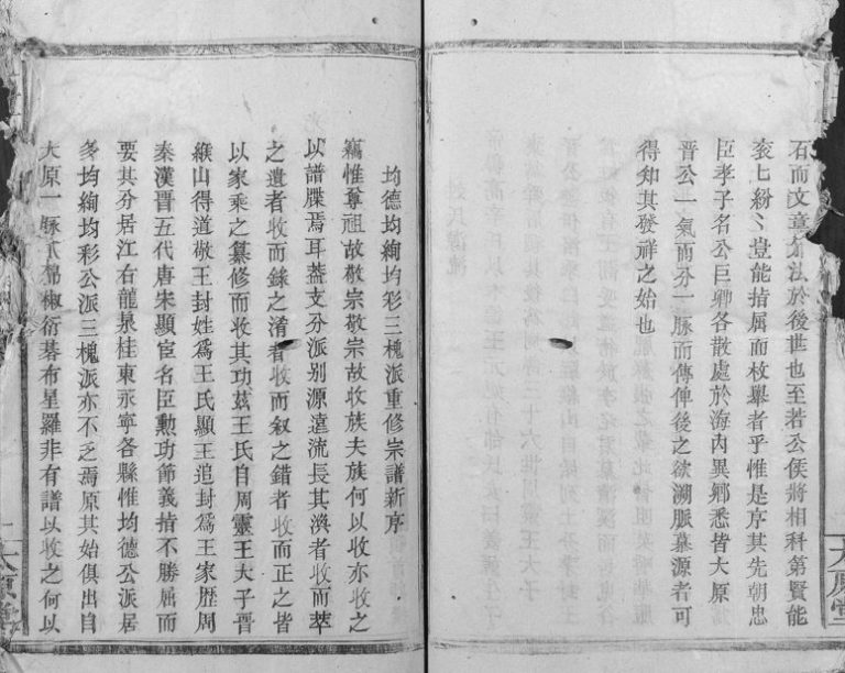 1890年王氏续修族谱[不分卷]浙江龙泉 福建武平太原堂王姓电子版家谱下载