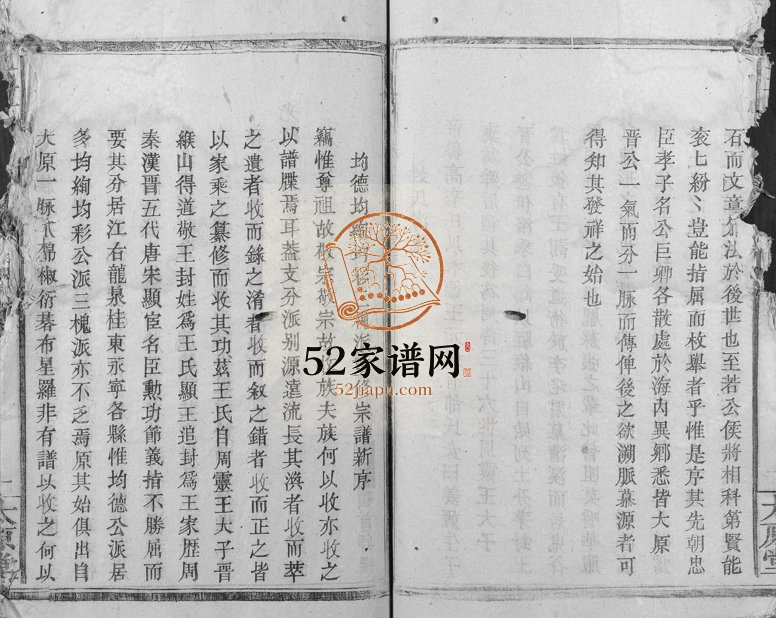 1890年王氏续修族谱[不分卷]浙江龙泉 福建武平太原堂王姓电子版家谱下载