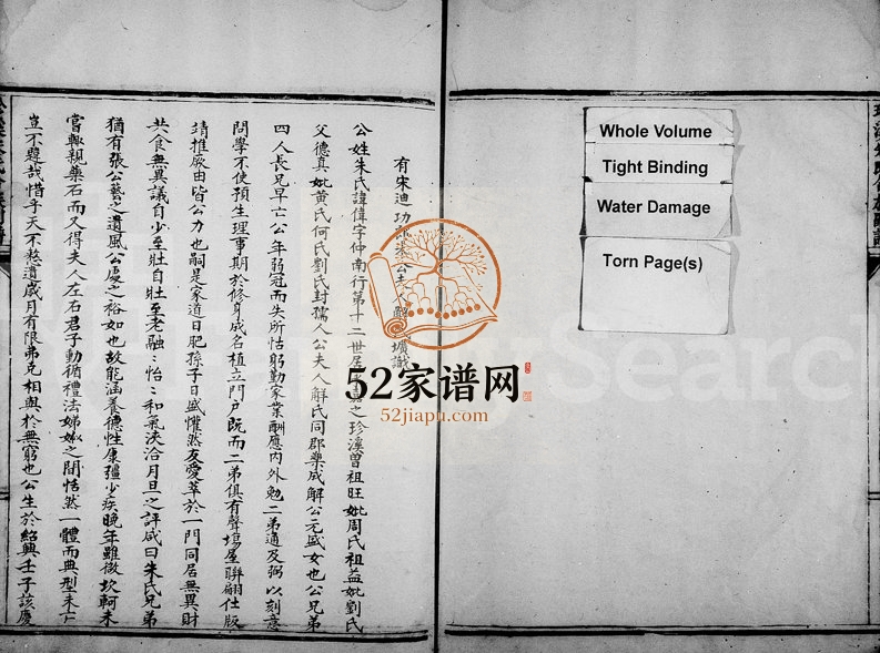 1875年珍溪朱氏合族副谱 浙江永嘉朱姓电子版族谱下载