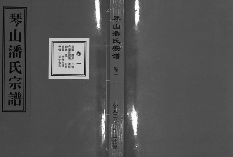 2003年重修琴山潘氏宗谱[2卷]浙江东阳潘姓电子版族谱下载