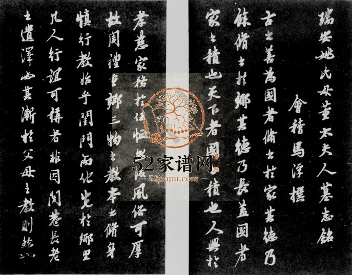 1964年修瑞安姚氏家乘 浙江两恩堂姚姓电子版族谱下载