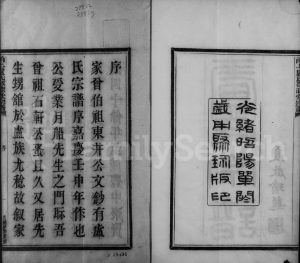1903年修甬上卢氏敬睦堂宗谱[4卷首1卷]浙江鄞州区卢姓电子版族谱下载
