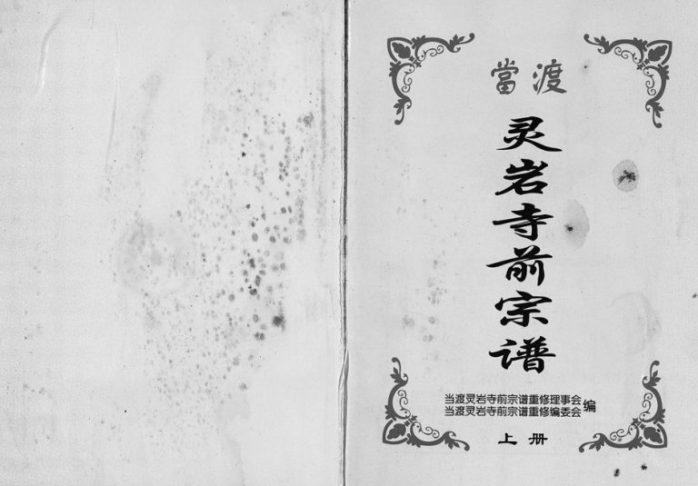 2004年重修当渡灵岩前寺宗谱[2卷]浙江永康应姓电子版族谱下载