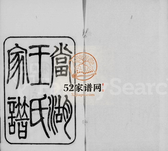 1917年修当湖王氏家谱 浙江平湖王姓电子版族谱下载