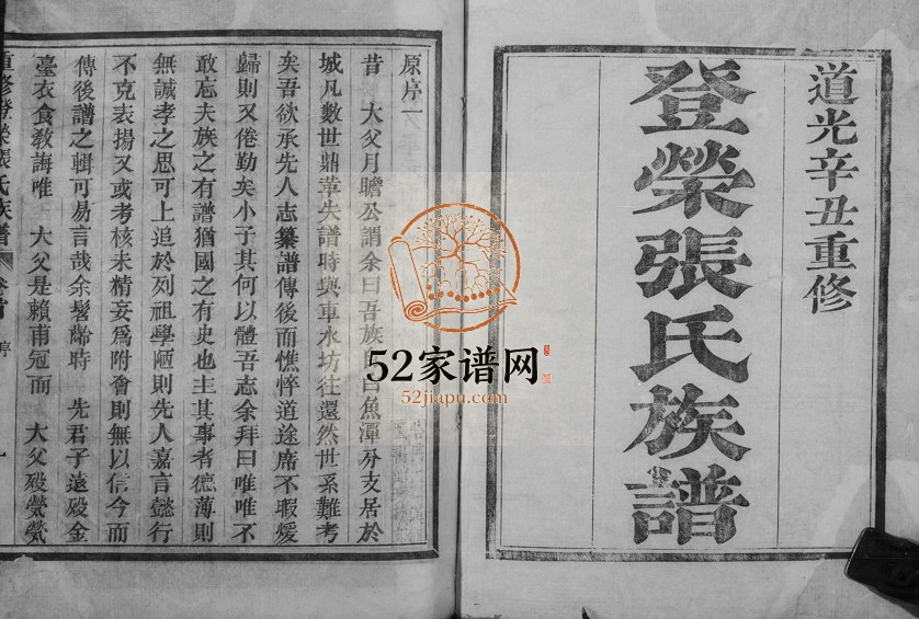 1841年修登荣张氏族谱[24卷首1卷]浙江柯桥张姓电子版家谱下载