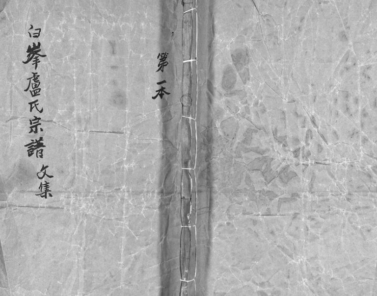1926年修白峯卢氏宗谱[6卷]浙江东阳卢姓电子版族谱下载