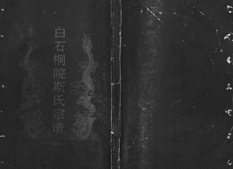 1997年重修白石桐院斯氏宗谱[不分卷]浙江东阳斯姓电子版族谱下载
