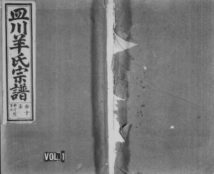 1947年续修皿川羊氏宗谱[残卷]浙江缙云羊姓电子版族谱下载