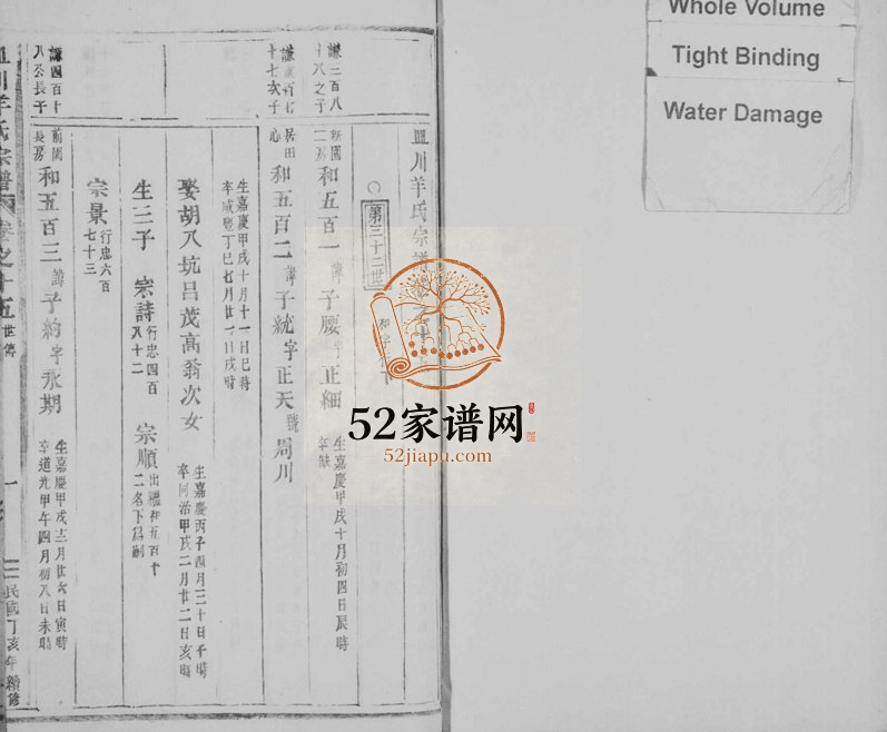 1947年续修皿川羊氏宗谱[残卷]浙江缙云羊姓电子版族谱下载