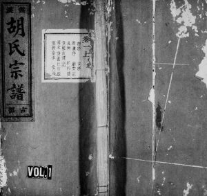1938年修盘溪胡氏宗谱[14卷及卷末]浙江缙云世德堂胡姓电子版族谱下载