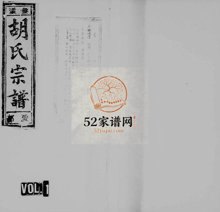 1994年修盘溪胡氏宗谱[22卷]浙江缙云胡姓电子版族谱下载