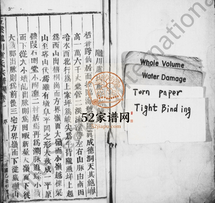 1940年五云陇川卢氏宗谱[28卷]浙江缙云卢姓电子版族谱下载