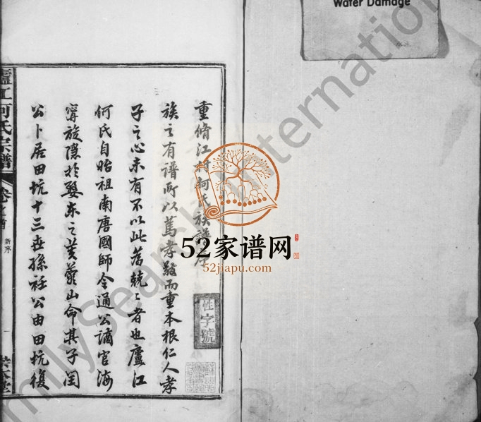 1902年修卢江何氏宗谱[3卷首末各1卷]浙江金华崇本堂何姓电子版族谱下载