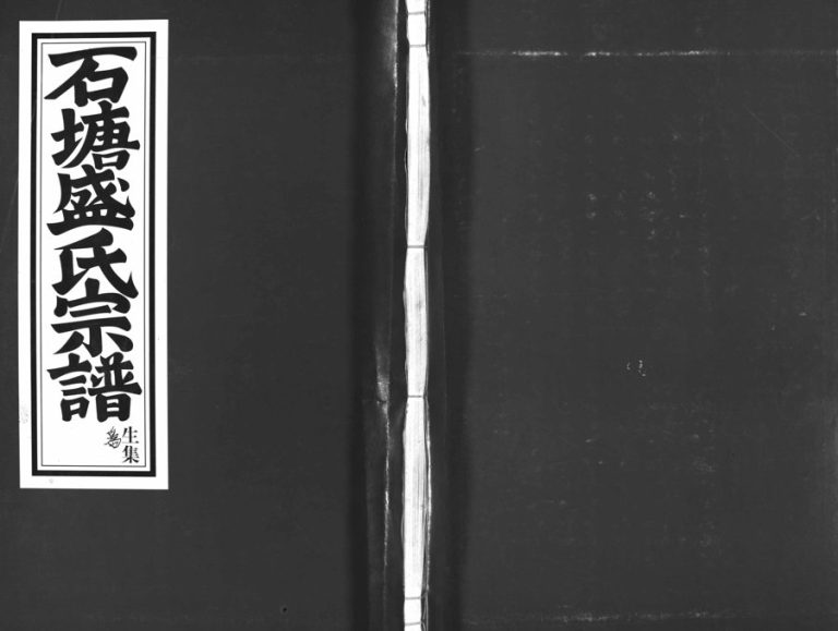 2003年重修石塘盛氏宗谱[不分卷]浙江兰溪盛姓电子版族谱下载