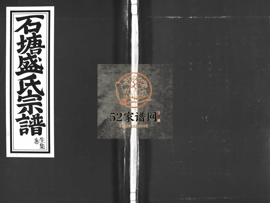 2003年重修石塘盛氏宗谱[不分卷]浙江兰溪盛姓电子版族谱下载