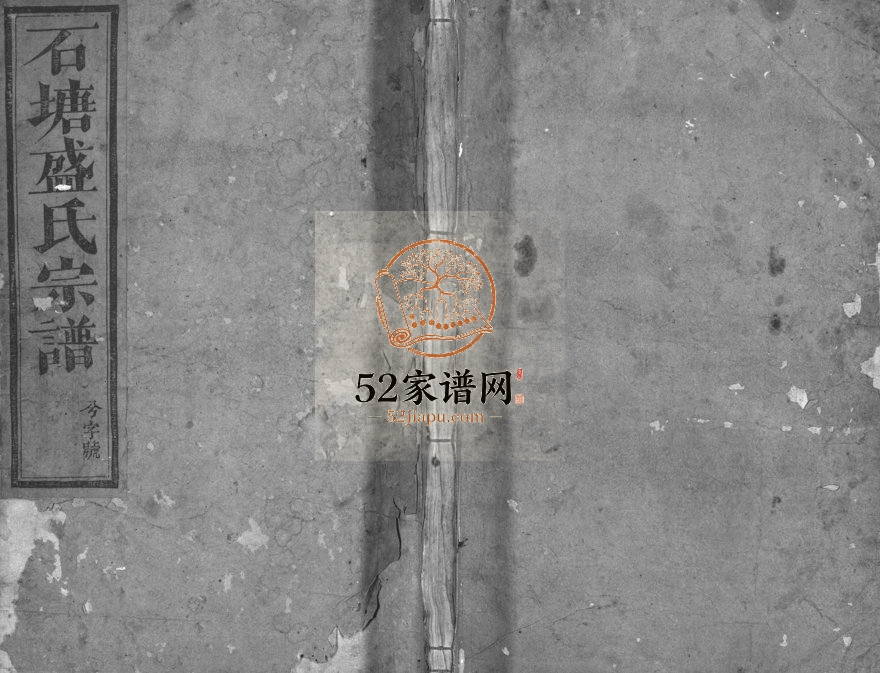 1901年重修石塘盛氏宗谱[卷数不详]浙江兰溪敦睦堂盛姓电子版族谱下载