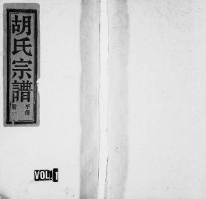 1996年重修石屏胡氏宗谱[8卷]浙江缙云胡姓电子版族谱下载