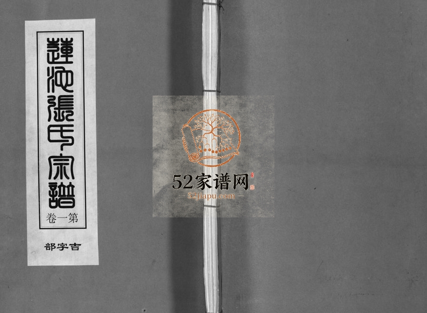 2003年重修郭盘石鼓里塘下张氏宗谱[4卷]浙江浦江张姓电子版族谱下载