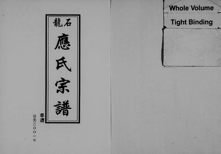2001年重修石龙应氏宗谱[2卷]浙江缙云 永康应姓电子版族谱下载